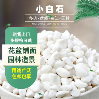Mengrouju white stone paving garden landscaping pebbles landscape stone natural white stone about 1-2cm/45jin jin is equal to 0.5kg whole package