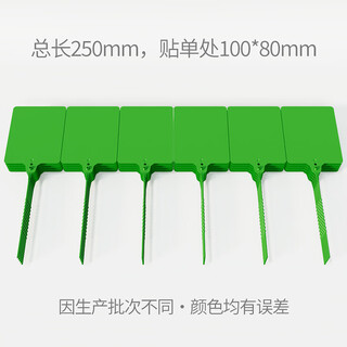 Logistics tag express tag plastic express one meter ticking tie seal integrated sign tag inspection label iron-free 100*80 green 100 pieces