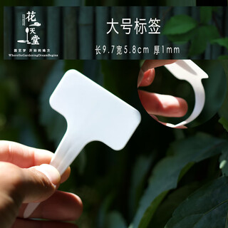 Transparent succulent label insert t-shaped gardening tools plant flower planting sowing seedlings plastic label identification plate large white 50 pieces width 5.8 height 9.7cm