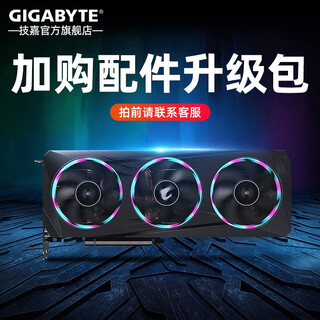 技嘉（GIGABYTE）主机配件升级包补RMB:10/50/100【拍前请联系客服，单拍不发货】 升信仰小雕