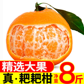 生活＆好管家 四川春见耙耙柑爆浆大果新鲜水果礼盒应季橘子现摘柑橘子桔子 8.5-9斤【性价比高-全家爽吃】净重8斤 果径80-85mm【中大果】