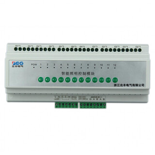 12-way intelligent switch controller module power supply lighting centralized wireless network remote programming lighting panel ordinary type without display