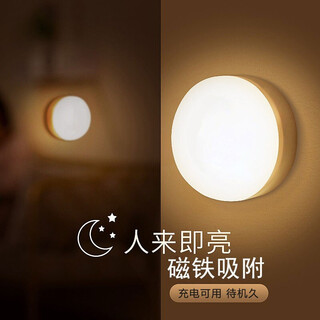Dajiuwei intelligent human body sensor lamp magnet adsorption aisle light control stair lamp rechargeable home corridor led night light value model magnetic human body sensor lamp white light