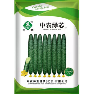 Zhongveg zhongnong cucumber seeds academy of agricultural sciences vegetable seeds taste good and easy to grow zhongvezhongnong green core cucumber seeds 5g