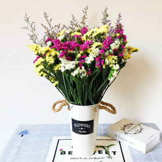 Love yunnan forget-me-not dried flowers flower ornaments living room decoration real flower arrangements gypsophila bouquet festival and birthday matching rose red yellow white don't + lover's grass about 30 pcs