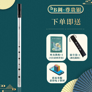 Shanbei Irish Whistle Flute C-D-Tuning Flûte Enfants débutants Treble Direct Flute Recorder Instrument Six-trous Jouant B-Flat Silver + Rich