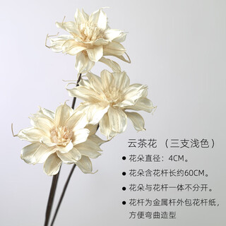 Aesthetic hacker mini daisies indoor small dried flowers real flowers dried flower bouquet decoration living room dining table bedroom natural mix and match combination 3 cloud tea flowers light color