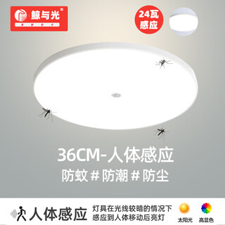 Whale and light ultra-thin tri-proof lamp sensor light explosion-proof lamp anti-mosquito led lighting corridor light human body radar sensor light voice control lamp tri-proof lamp 36cm human body sensing 24w