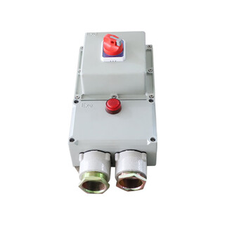 Suitable for explosion-proof circuit breaker 10a16a20a32a40a63a100a explosion-proof distribution box 380v2p3p4p leakage 100a/380v/4p (with leakage)