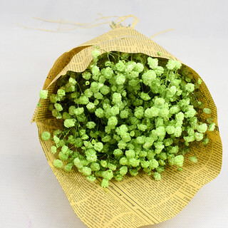 Aiman gypsophila dried flower bouquet yunnan natural dried birthday gift diy living room decoration home furnishings real dried flowers green gypsophila with newspaper + ribbon