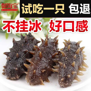 御海宝 即食海参500g长岛大连辽刺参 500g 4-7(简装-大个头)