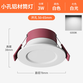 祎琳led筒灯嵌入式5cm5.5cm6cm6.5公分开孔牛眼灯天花射灯客厅小孔灯 铝材3W【全白】白光开孔5-6.5c