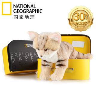 国家地理沙漠猫毛绒玩具仿真猫咪小猫玩偶生日儿童生日礼物