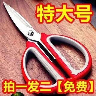 【大肉克星】不锈钢剪刀厨房剪肉多功能裁缝剪学生手工美工大剪子 红色1把
