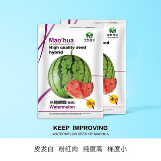 Zhongke maohua vegetable and fruit seeds rock sugar kirin watermelon seeds early mature xinjiang 8424 super sweet pink flesh melts in the mouth rock sugar kirin 5g/bag (about 90 pieces) small area