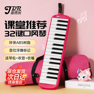 Jdr jdr mouth organ 32-key primary school classroom teaching children beginners and adults special wind instrument pink