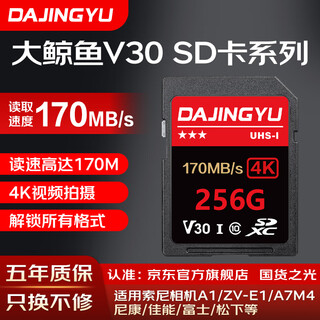 DAJINGYU大鲸鱼SD卡 相机内存卡V30V60V90储存卡高速单反存储卡 适用于索尼A1/ZV-E1/A7M4尼康佳能富士 【V30 SD卡256G】读170M 流畅拍摄4K 官方标配-存储卡