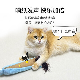 Gigwi is a cat toy that relieves boredom, noise paper plush feathers, teething kitten pet supplies