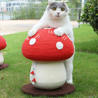 Fandu pet house cat scratching board mushroom red umbrella umbrella sisal post resistant to scratching and wear-resistant not easy to fall off claw gripper cat toy
