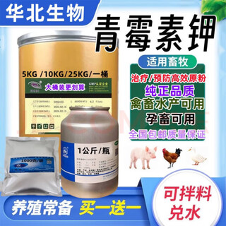 North china veterinary prevention raw powder soluble powder 98% chicken, duck, fish, pig, dog, cattle, sheep, poultry and livestock aquatic feed additive penicillin potassium 1 jin jin is equal to 0.5 kg. free 1 jin jin is equal to 0.5 kg (actual delivery is 2 jin jin is equal to 0.5 kg)