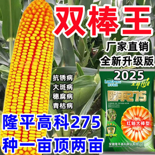 New species longping 275 high-yielding corn seeds, double stick twin king, drought and waterlogging tolerance, lodging resistance and rust resistance new species longping 275 big mac twins, about 4239 grains, 1 bag, original national approval