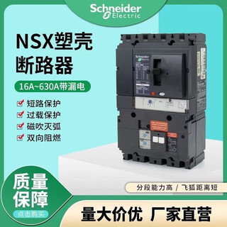 施耐德电气NSX漏电塑壳断路器F型4P带漏电保护器160A125A漏保空开  160A 100A 4p