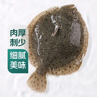 Fresh turbot 450-550g/piece