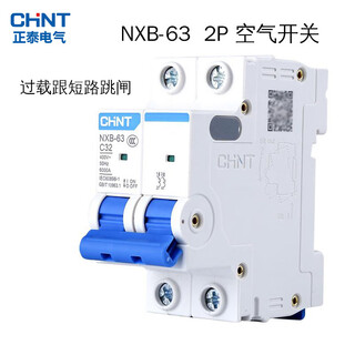 正泰（CHNT）正泰空气开关NXB 2P C型家用断路器过载跳闸1016A20A25A32A40A63A