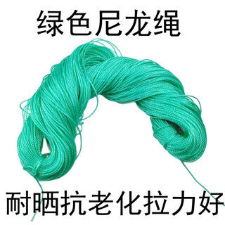 Nylon rope 2mm plastic rope green thin rope fishing net rope packing rope mending net rope fish rope hanging tree rope thick rope 2 mm 100 meters
