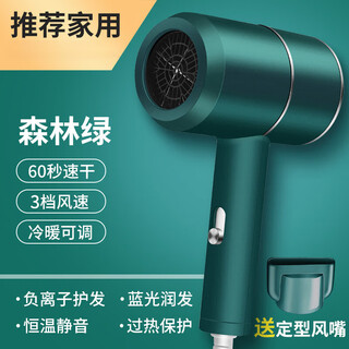 Shunrui german original quality xiao yang recommends 500w hair salon special negative ion hair dryer student dormitory home folding portable blue light upgraded mint green 1200w blue light negative ion