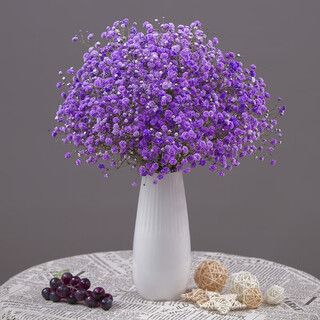 Aiman flowers, real flowers, dried flowers, natural baby's breath bouquet, home living room store, holiday decorations, gifts, birthdays, purple baby's breath (without vase), dry branches