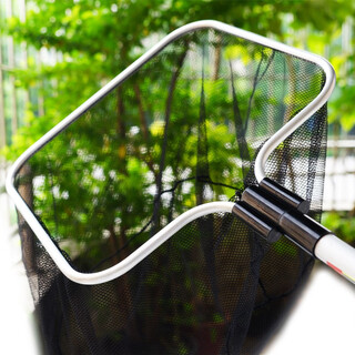 Songbao fishing net fishing net koi fish pond net pocket fish fishing telescopic pole copy net aluminum alloy arowana fishing net dense net 14 inches 35*35cm+1.5m telescopic pole sf delivery
