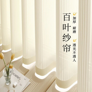 Plato cream style vertical venetian shades curtains window screens living room balcony bedroom bay window translucent and opaque new phantom shade venetian shade - hook style cream white width 1.0m*height 1.3m promotional pack of two