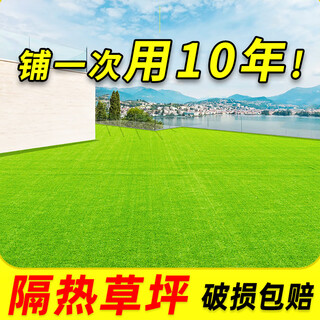 Qingya sunroom glass roof insulated lawn simulation carpet artificial artificial outdoor plastic green balcony roof fake turf special dense 2cm spring grass sun protection and insulation 1m wide * 2m long