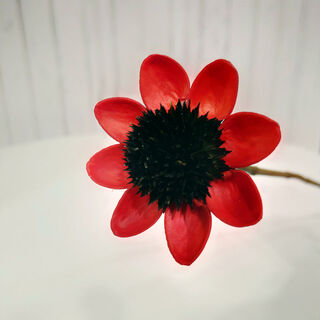 Aiman natural chrysanthemum dried flowers real flowers air-dried ins internet celebrity flower decoration ornaments literary flower arrangement nordic decoration sunflower red 3 pieces