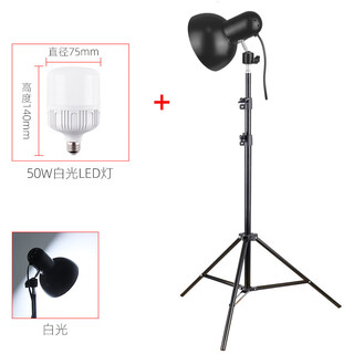 Miscellaneous new still life sketching lamp still life sketching lamp studio art student special sketch spotlight lighting photography lamp creative 2 meter sketching lamp + 50w white light