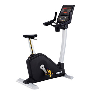 Steffy pb10 upright exercise bike