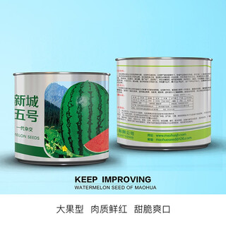 Zhongke maohua melon fruit seeds xincheng no. 5 watermelon seeds jincheng no. 5 desert sun-sanded watermelon seeds inner mongolia ningxia stone melon seeds