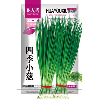 Huayouxiu four seasons green onions vegetable seeds rapeseed four seasons planting potted field planting easy to plant four seasons green onions seeds 10g