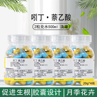 Rooting agent to promote rooting indole butyric acid naphthalene acetic acid capsule rose cutting transplantation to promote rooting agent regulation 20g*4 bottles (160 capsules)