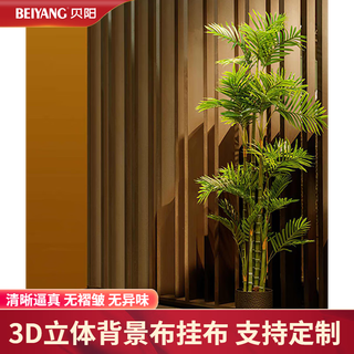 Beiyang live broadcast background wall 3d three-dimensional high-definition background wallpaper live broadcast room background wall internet celebrity background male anchor female anchor singing home style simple scene hanging cloth decorative curtain ys38 1.5*2m