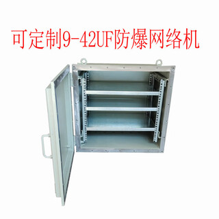 Outdoor network cabinet distribution box plc control cabinet 9u cabinet frequency conversion box explosion-proof monitoring cabinet