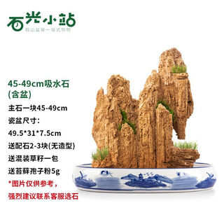 Shiguang station absorbent stone natural stone bonsai fish tank courtyard large fish pond landscaping absorbent stone original stone water stone bonsai 45-49cm absorbent stone blue and white porcelain basin