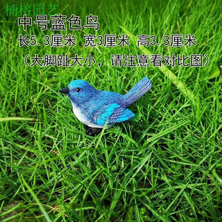 Phoebe gardening micro-landscape ornaments bird resin crafts cute simulated bird's nest gardening bonsai decorative bird eggs medium blue bird