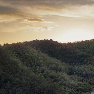 Home appliances-black electricity procurement and sales department team building expenses