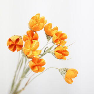 Aiman natural chrysanthemum dried flowers real flowers air-dried ins internet celebrity flower decoration ornaments literary flower arrangement nordic decoration orange open smile 10 pieces