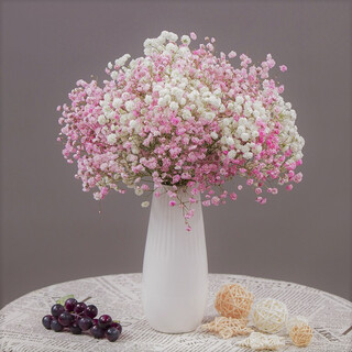Aiman gypsophila dried bouquet for home decoration, living room and bedroom decoration, flower arrangement, eternal freshness, birthday gift with vase, gypsophila white + pink + white porcelain bottle, dried flower bag