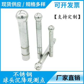Ball head settlement observation point embedded parts settlement observation nail measurement surveying and mapping mark level point benchmark point monitoring point stainless steel 10*70