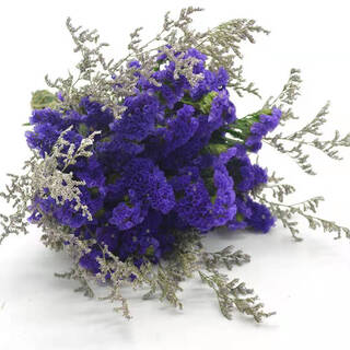 Aiman yunnan flowers dried flower bouquet forget-me-not lover grass combination gypsophila living room real flowers flower arrangement home furnishings ziwu + grass about 30 count
