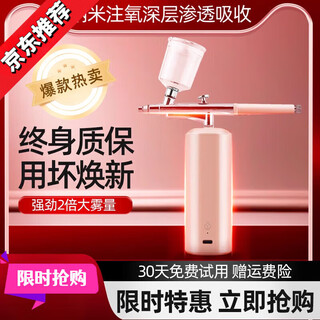 Oxygen meter household hydration needle-free water light facial spray gun imported essence water small nano spray beauty salon 3-speed abs rouge powder single container 420kpa
